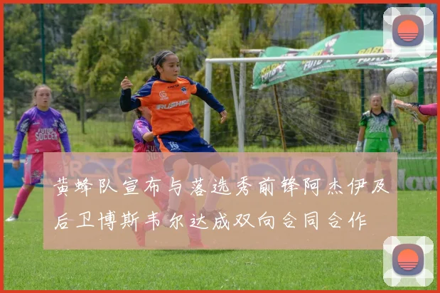 黄蜂队宣布与落选秀前锋阿杰伊及后卫博斯韦尔达成双向合同合作